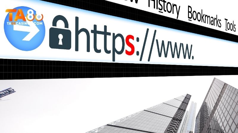Kiểm tra địa chỉ URL website
